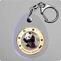 未使用♦️シャンシャンアクリルキーホルダー５種 上野動物園② 未使用♦️シャンシャンアクリルキーホルダー5種 上野動物園②